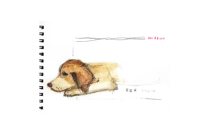 Dog in a Bar 2 — The calmest puppy ever, thus the name Zen